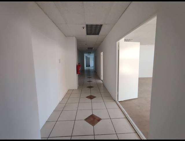 1,414M² WAREHOUSE TO LET IN MAITLAND